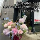블리스플로라 | 대구 대명동 꽃집 추천 <블리스 플로라> 어버이날 카네이션 바구니 후기