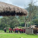 더원태권도 | 치앙마이 한달살기 아이랑 갈만한 코끼리 쿠킹 무에타이 미술 암벽등반 원데이 수업 Best 5