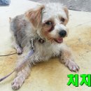 착한족발 답십리점 | [답십리 땡큐센터] 답십리 케어센터 봉사후기