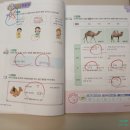 실력쑥쑥 한자공부 | 청천동공부방 푸르넷1호공부방 1:1밀착관리로 초등전과목 문해력 완성 후기