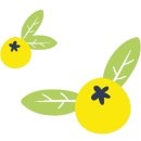 꽃과함께하는힐링원예 이미지