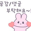 별빛가루 이미지