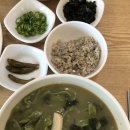 카카오 이미지