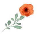 알콩달콩 카페 이미지