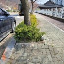 남파로 이미지