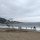 소나무펜션형민박 | [국내여름여행지]청주에서 영덕 강구항 블루로드 장사해수욕장 차박 캠핑 장소 추천