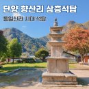 쌍정리 삼층석탑 | 단양 향산리 삼층석탑 보물 제405호 통일신라 시대 석탑