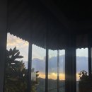 인튜이티브 | 발리 우붓 요가 ‘인튜이티브 플로우 intuitive flow' 선라이즈 요가 후기