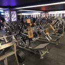 바이칼휘트니스 이미지