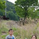 월악초원민박 이미지