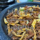 오리애반한가 이미지