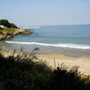 용산2농장 이미지