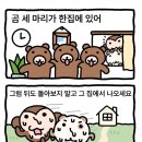 곰 세마리가 한집에 있다면 이미지