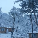 노송황토민박 이미지