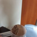 프로틴팩토리 네이버블로그