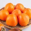 오늘 과일 이미지