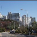 우림아파트국도38호선 이미지