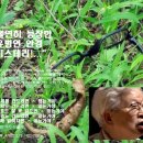 연합안경 이미지