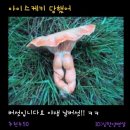 케키
