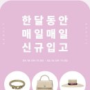 매일매일 이미지