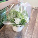 바이손(by son) | 압구정꽃집 플라워바이손에서 산뜻한 테이블 센터피스