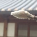 풍화당기로회 네이버블로그