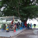 양지촌경로당 이미지