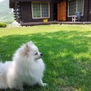 해복농장 이미지