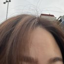 헤어스튜디오 랑데뷰 이미지