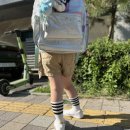 코코마뇽