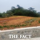 선거 농로 이미지