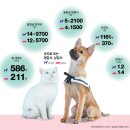 펫맘 이미지