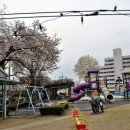 박팽년선생유허비 이미지