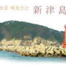 신진도민박 이미지