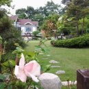 솔바람 들꽃향기 이미지