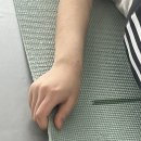 발레 | 개인 레슨 | 주 2회 | 취미 발레 | 대학생 발레 레슨 일지 | + 플리에란 무엇인가? | 해브인...