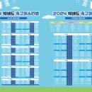 빅버드