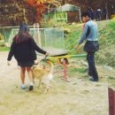 목암중학교 이미지