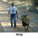 갓포소 이미지