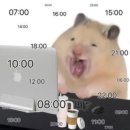 고유스튜디오