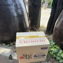 2025 충북 진천 여행 (충북 진천/덕산양조장/농다리...느티나무집/에코뮤 카페/국내여행지/내돈내산 후기)