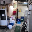 고향식육식당 | 풍자 또간집 포항 맛집 시장식육식당 소찌개 내돈내산 후기