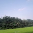 해오름축산 이미지