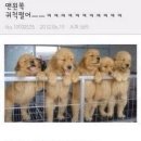 대구형제막창 이미지