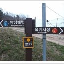 현내시장길 티스토리