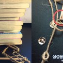 텐세그리티 이미지