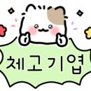 약지애견카페