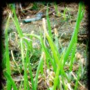 연동농장 이미지