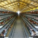 대내농장 이미지