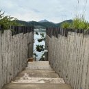 곰스테이리조트 이미지